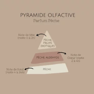 bougie-peche-pyramide-olfactive