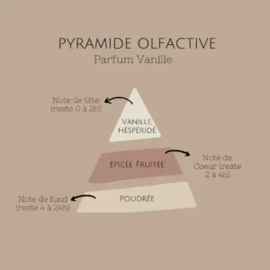 bougie-vanille-pyramide-olfactive