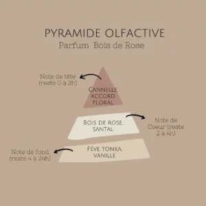 brume-bois-de-rose-pyramide-olfactive