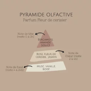 parfum-fleur-de-cerisier-pyramide-olfactive