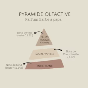 L'Atelier de bougie de cha pyramide olfactive parfum barbe à papa