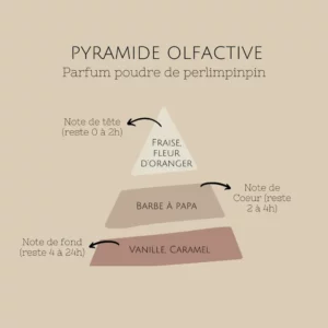 pyramide-olfactive-poudre-de-perlimpinpin