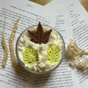 Bougie-automne-livre-l'atelier-de-cha
