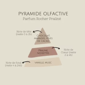 pyramide-olfactive-rocher-praliné