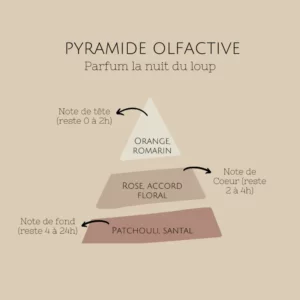 pyramide-olfactive-la-nuit-du-loup