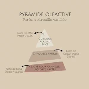 citrouille-vanillée-pyramide-olfactive